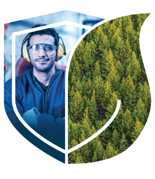 Verantwortung Icon